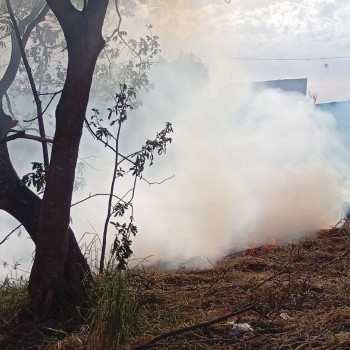 Aumentam os focos de incêndio em vegetação na região de Presidente Prudente